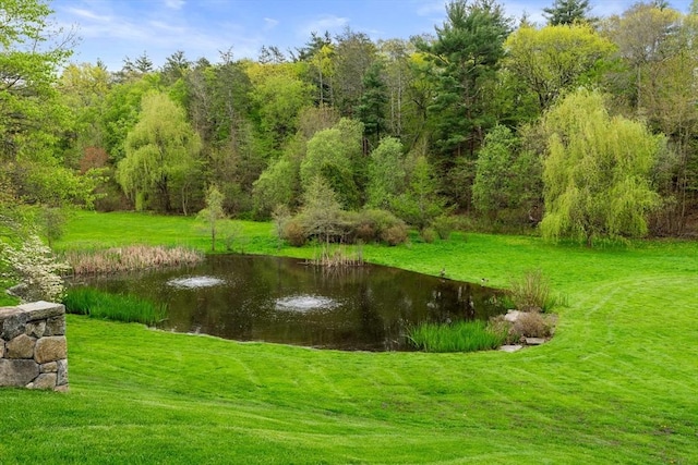 view of community with a lawn and a water view