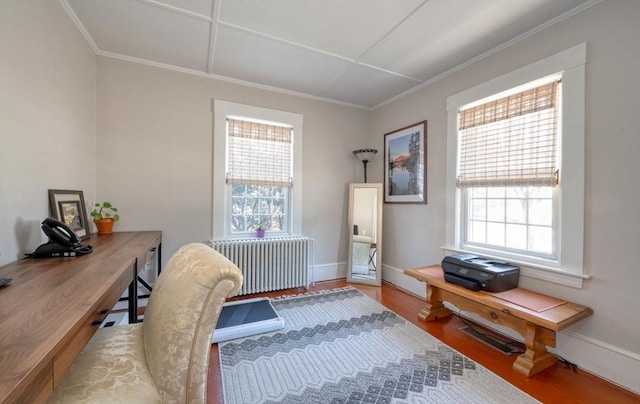 office featuring radiator, a healthy amount of sunlight, crown molding, and wood finished floors