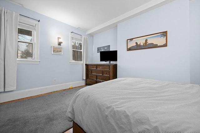 bedroom with baseboards, wood finished floors, and multiple windows