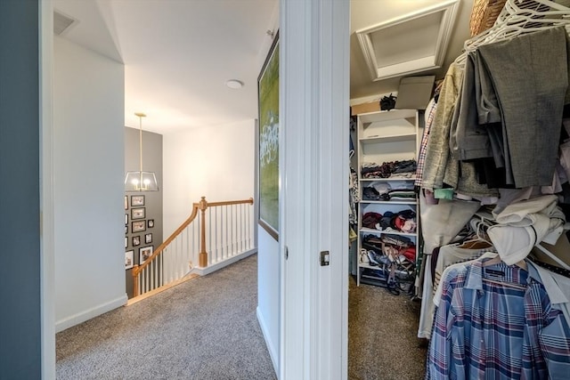 spacious closet featuring carpet floors, visible vents, and attic access