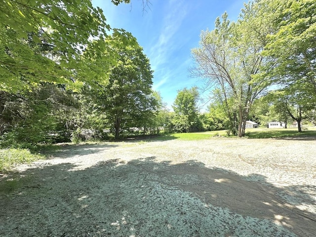 90 Bald Mountain Rd, Bernardston, MA 01337 - view of yard