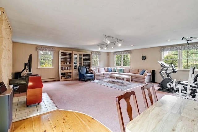 10 Mallard Rd, Acton, MA 01720 - carpeted living room with rail lighting and a baseboard radiator