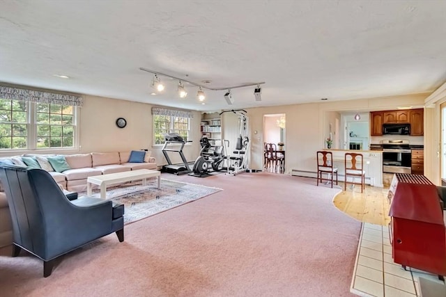 10 Mallard Rd, Acton, MA 01720 - living area with a wealth of natural light, a baseboard radiator, and light carpet