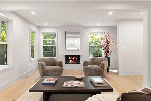 living room with light hardwood / wood-style floors