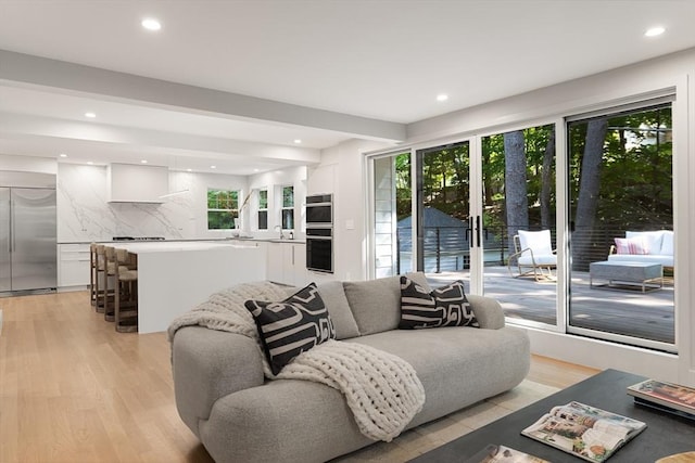 living room featuring light wood-type flooring and a healthy amount of sunlight