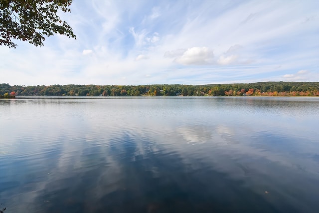 property view of water