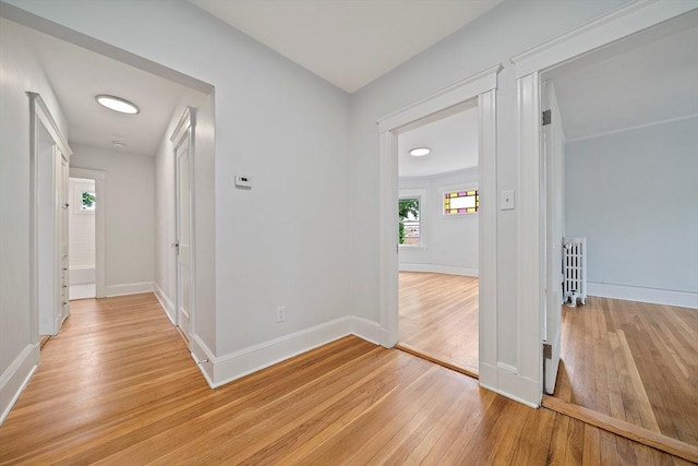 32 Gibson Unit 2, Boston, MA 02122 - corridor with light wood-style flooring and radiator