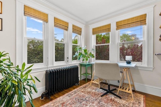 office space featuring radiator, healthy amount of natural light, wood finished floors, and crown molding