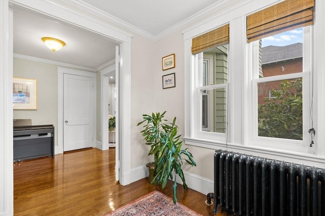 hall with radiator, wood finished floors, crown molding, and baseboards