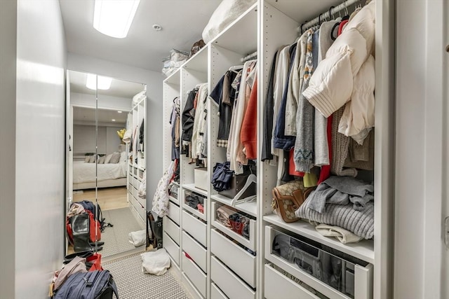 view of spacious closet