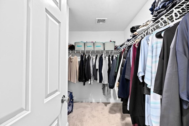 spacious closet featuring carpet floors