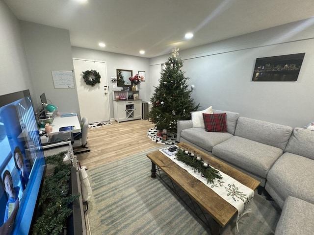 living room featuring wood-type flooring