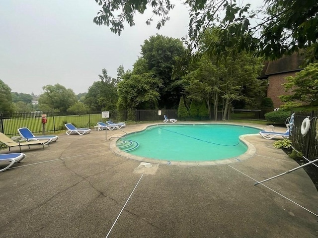 view of pool with a patio