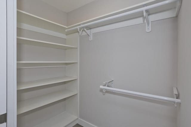 view of walk in closet