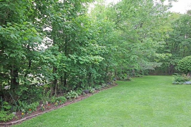 575 Bridge Rd Unit 11-2, Northampton, MA 01060 - view of green lawn