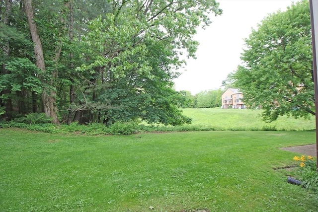 575 Bridge Rd Unit 11-2, Northampton, MA 01060 - view of green lawn