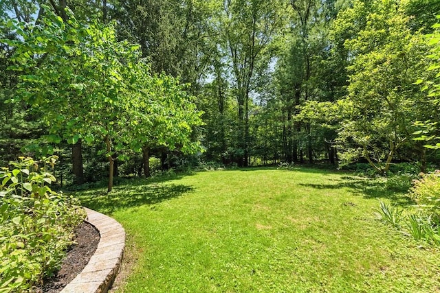 26 Ashfield Ln, South Hadley, MA 01075 - view of grassy yard