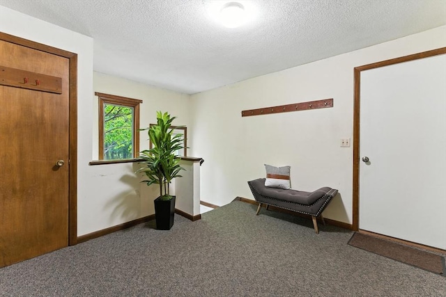 26 Ashfield Ln, South Hadley, MA 01075 - sitting room with carpet flooring and a textured ceiling
