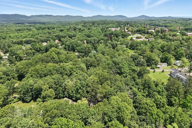 26 Ashfield Ln, South Hadley, MA 01075 - drone / aerial view of a forest