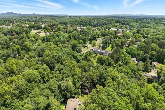 26 Ashfield Ln, South Hadley, MA 01075 - drone / aerial view of a heavily wooded area