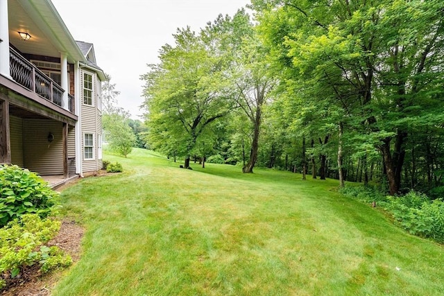9 Windsor Ln, East Longmeadow, MA 01028 - view of grassy yard