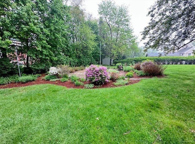 view of grassy yard
