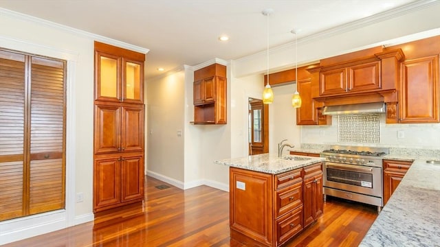 kitchen featuring light stone countertops, a sink, dark wood-type flooring, high end stainless steel range, and backsplash