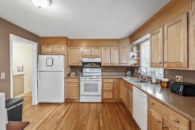 kitchen featuring white appliances, open shelves, a sink, light wood-style floors, and under cabinet range hood