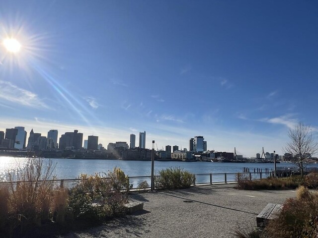 99 Sumner St Unit 503, Boston, MA 02128 - water view featuring skyline