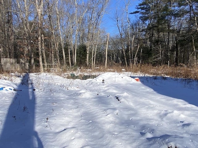 view of snowy yard