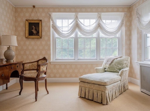 living area featuring carpet floors, radiator, and ornamental molding