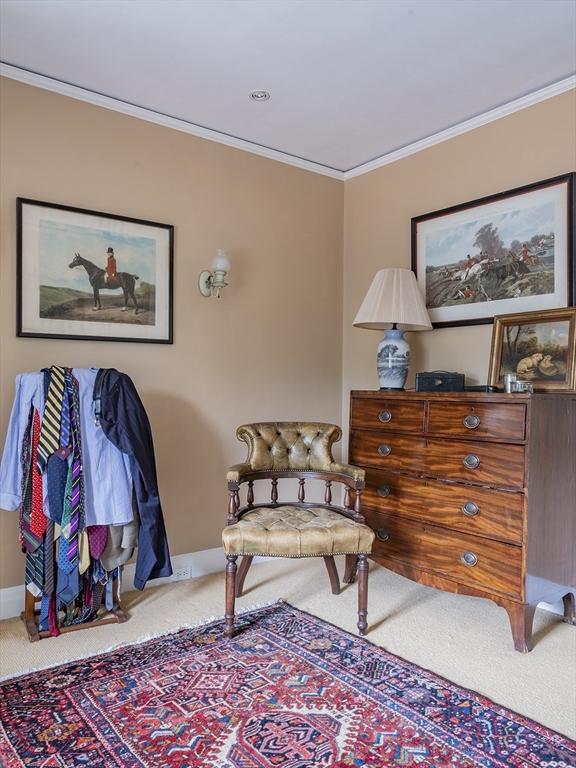 living area featuring carpet and crown molding