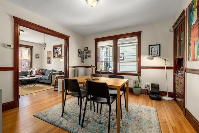 dining space with hardwood / wood-style flooring, radiator, and baseboards
