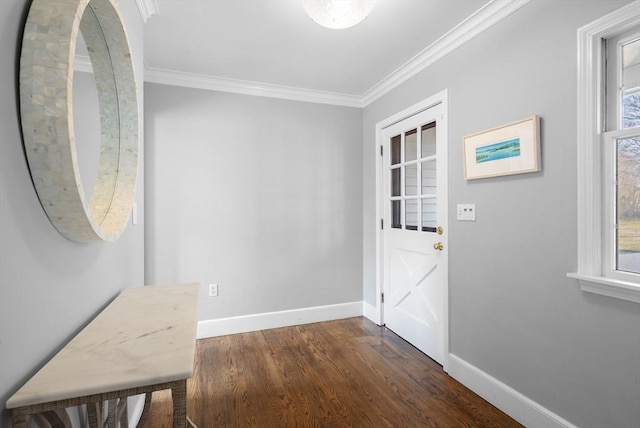 doorway featuring baseboards, plenty of natural light, ornamental molding, and dark wood-style flooring