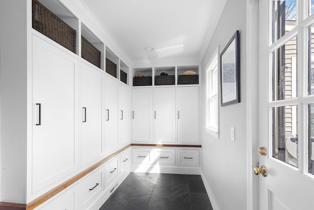 mudroom featuring a healthy amount of sunlight, crown molding, and baseboards