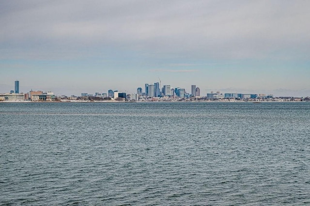 water view featuring a city view