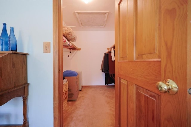 439 S St Unit A, Plainville, MA 02762 - walk in closet with light carpet