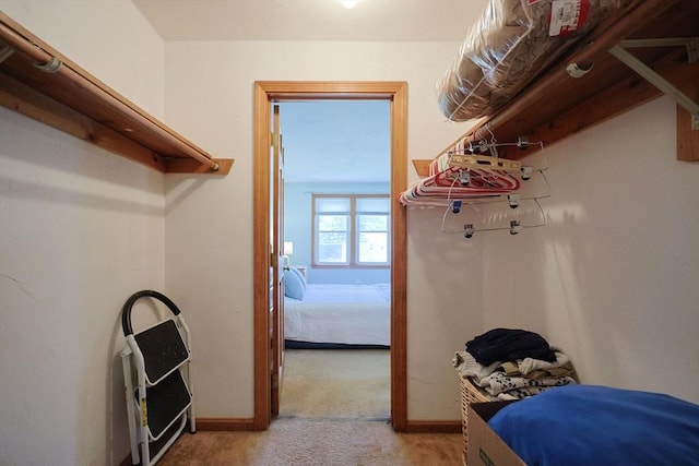 439 S St Unit A, Plainville, MA 02762 - walk in closet featuring light carpet