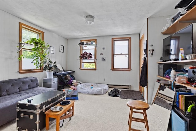 28 Gardner St, Arlington, MA 02474 - game room with carpet flooring