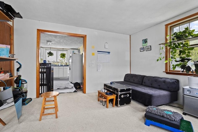 28 Gardner St, Arlington, MA 02474 - view of carpeted living room