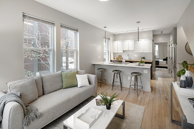 living area featuring light wood-style floors