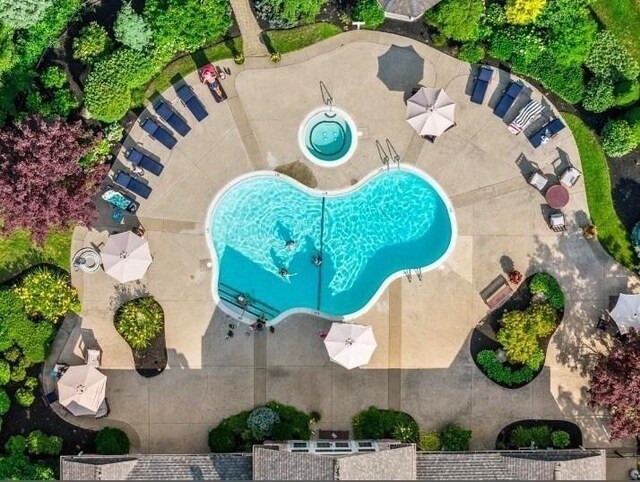 bird's eye view