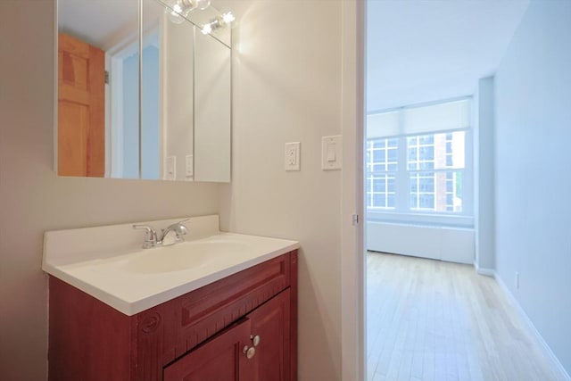 872 Massachusetts Ave Unit 401, Cambridge, MA 02139 - bathroom with vanity and wood finished floors