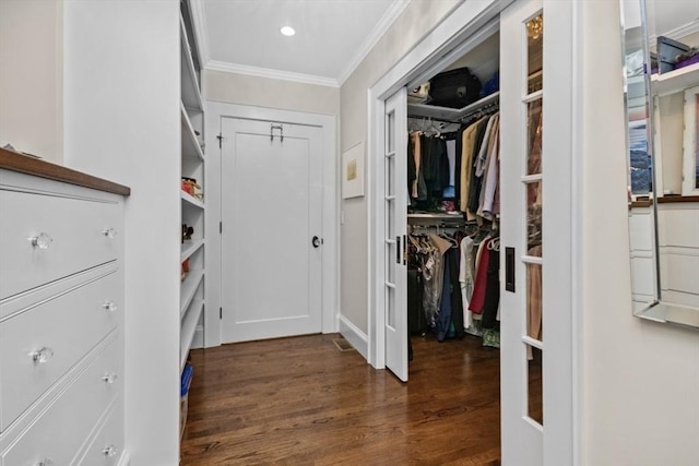 walk in closet featuring dark wood finished floors