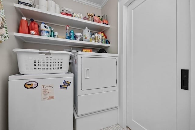 clothes washing area featuring crown molding and independent washer and dryer