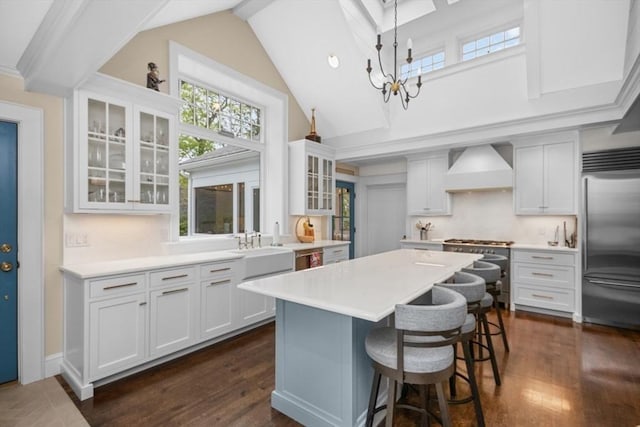 kitchen with stainless steel appliances, premium range hood, a center island, a chandelier, and a kitchen breakfast bar