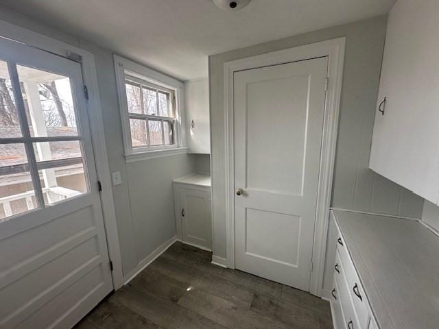 doorway to outside featuring dark wood-style flooring