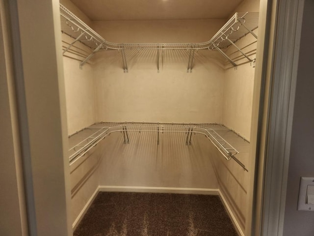 53 Kelly Ln, Lynn, MA 01904 - walk in closet featuring dark colored carpet