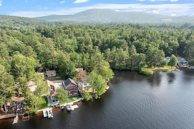 33 N Shore Rd, Westminster, MA 01473 - bird's eye view of a forest and a water and mountain view