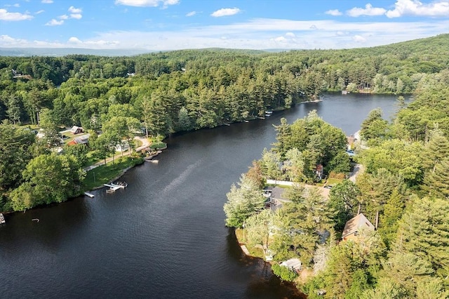 33 N Shore Rd, Westminster, MA 01473 - view of property location featuring a heavily wooded area and a nearby body of water